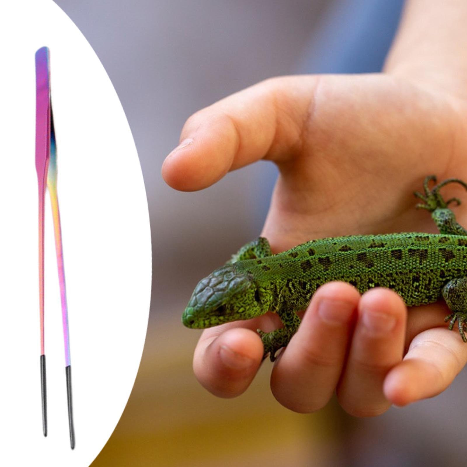 Planted Aquarium Tips - Reptile Feeding Tongs Soft Tip Planting