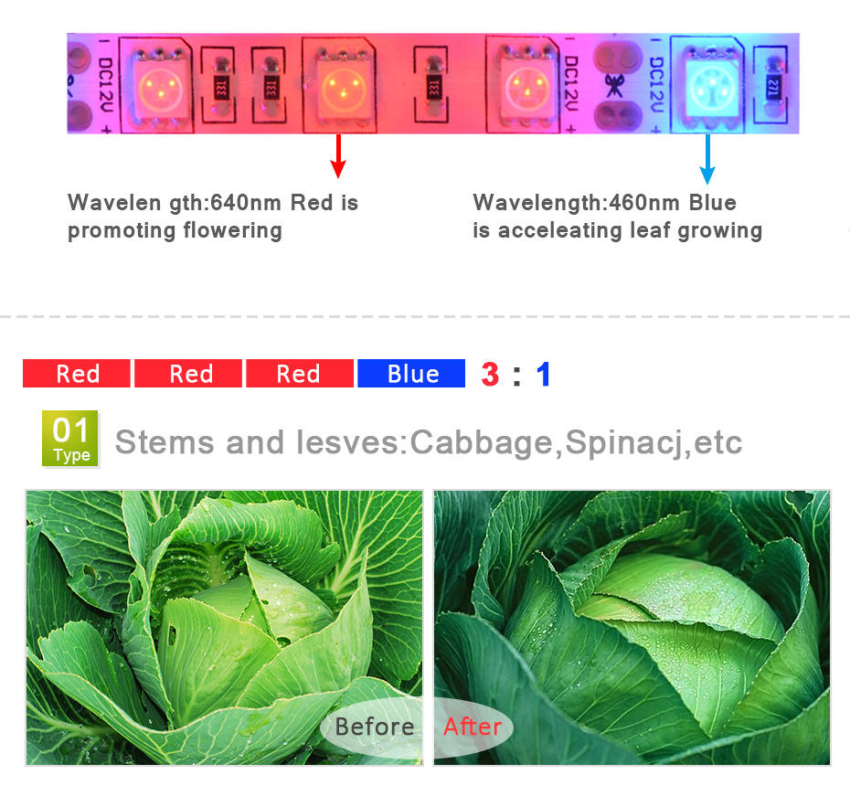 1M 2M 3M 4M 5M LED Grow Light  - Aquarium Plant Echinodorus recension och pris