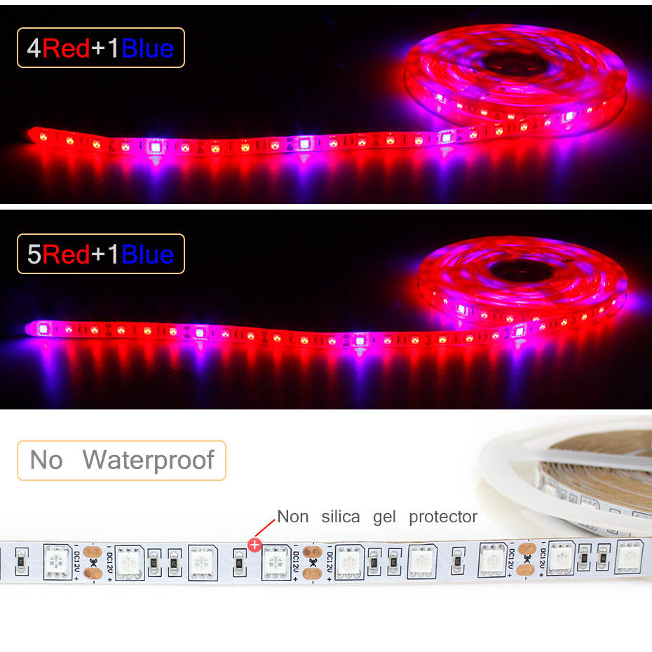 1M 2M 3M 4M 5M LED Grow Light  - Aquarium Plant Echinodorus recension och pris