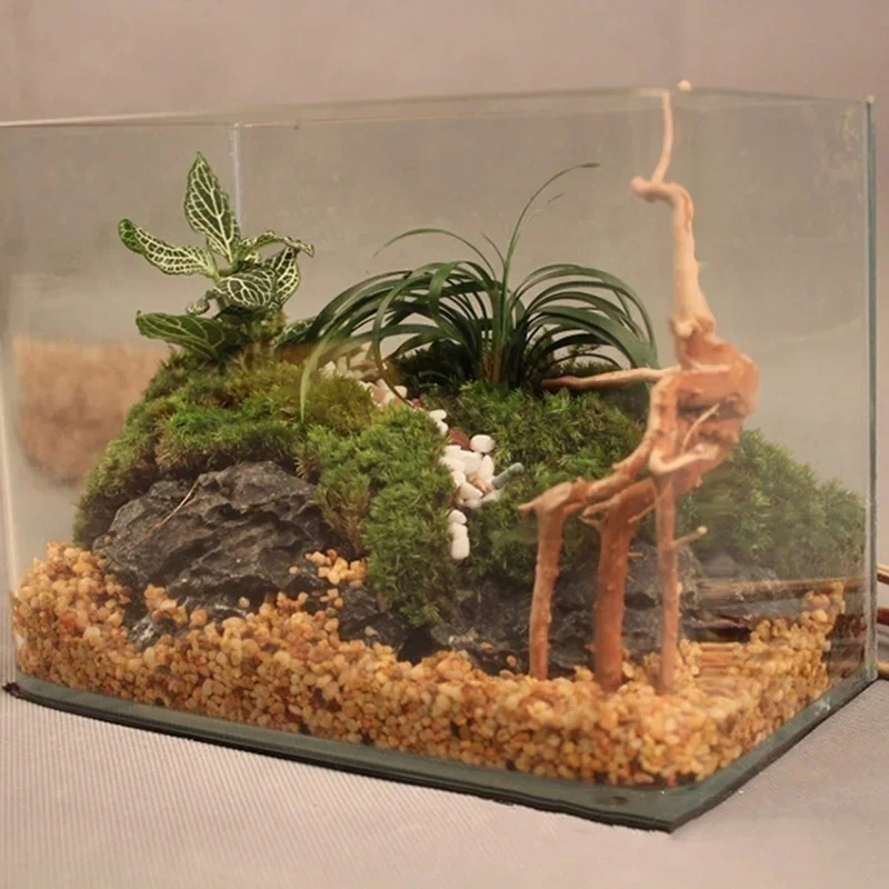 Natural Tree Trunk Driftwood A - Aquarium Plant Roots recension och pris