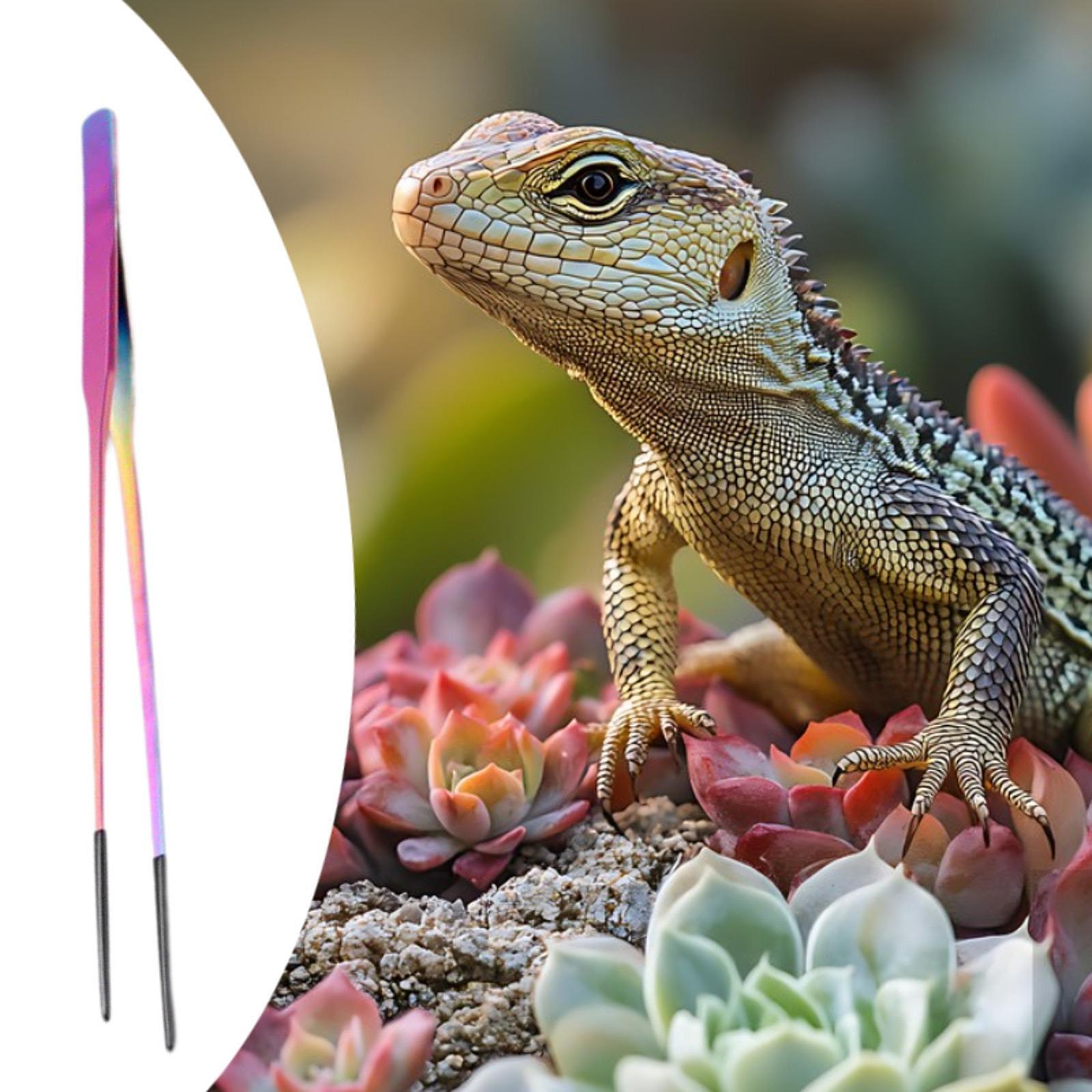 Reptile Feeding Tongs Soft Tip - Planted Aquarium Tips recension och pris