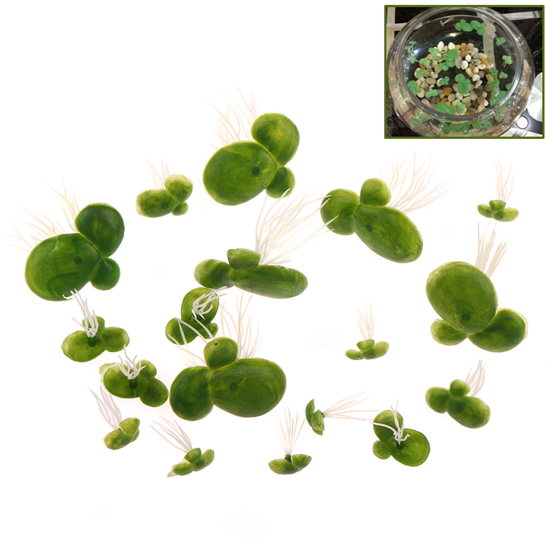 18pcs/set Aquarium Fish Tank D - Aquarium Plant Roots recension och pris
