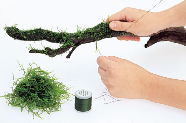 Degradable Aquarium Driftwood  - Aquarium Plant Echinodorus recension och pris
