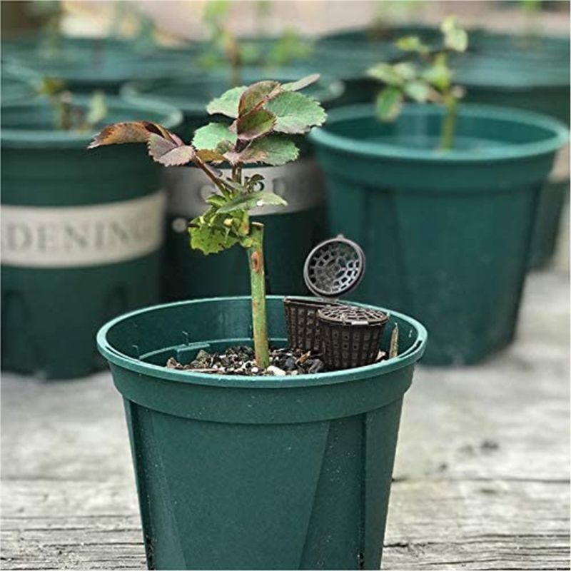 ABUH-Garden Nursery Fertilizer - Planted Aquarium Fertilizer recension och pris