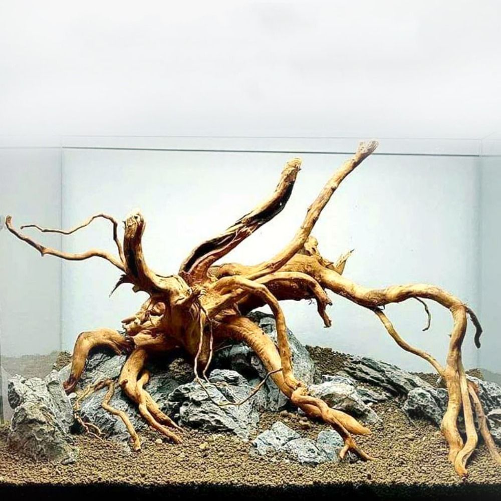 20-25CM Large Aquarium Driftwo - Aquarium Plant Roots recension och pris