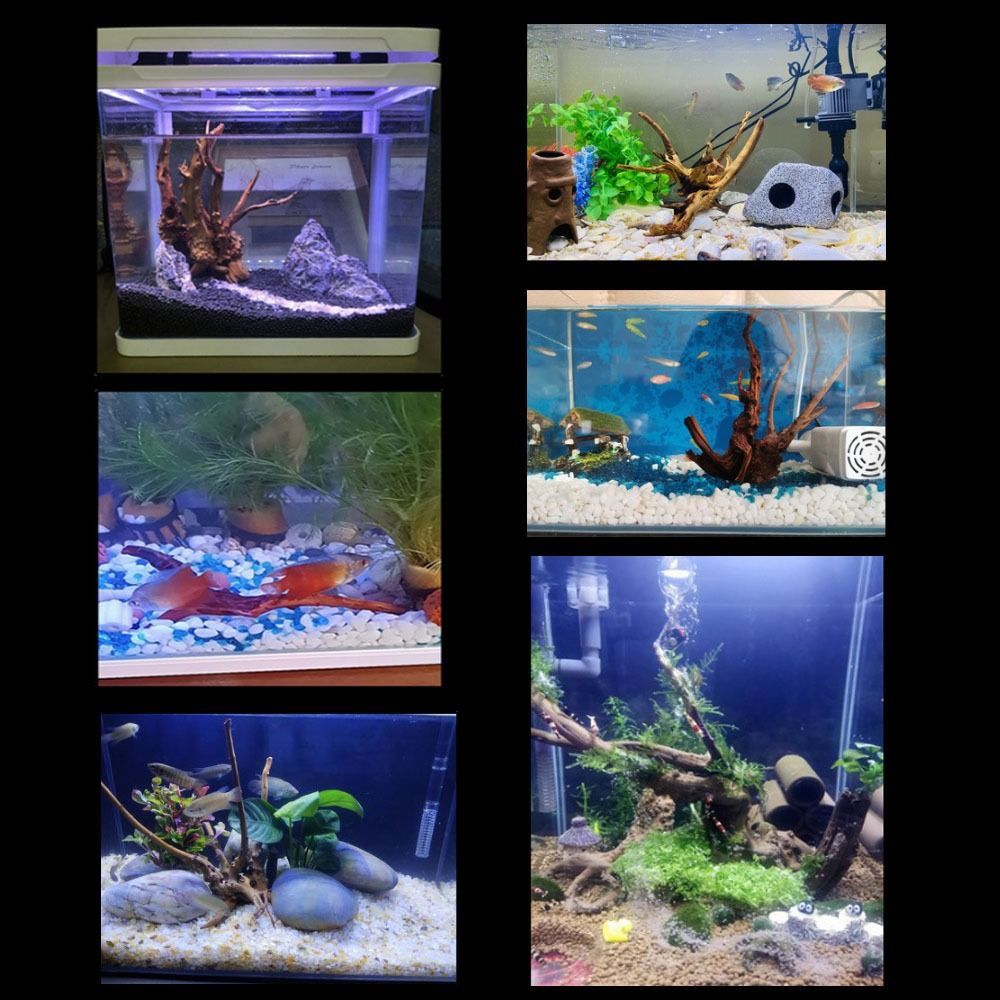 20-25CM Large Aquarium Driftwo - Aquarium Plant Roots recension och pris