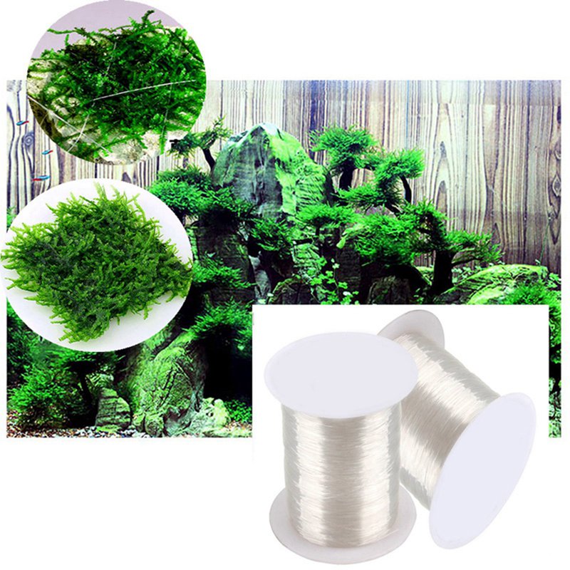 120M DIY Moss Line Binding Lin - Aquarium Plant Echinodorus recension och pris