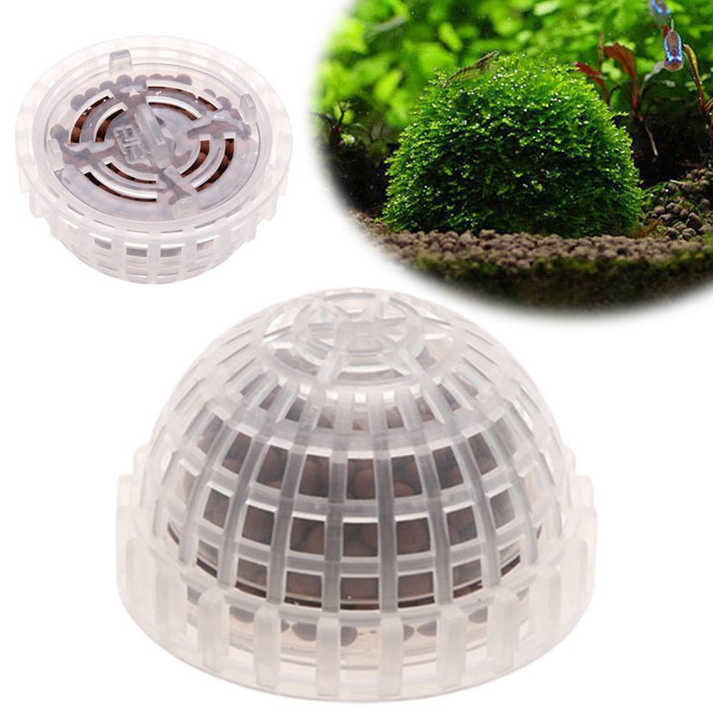 1pc Aquatic Pet Supplies Decor - Aquarium Plant Echinodorus recension och pris