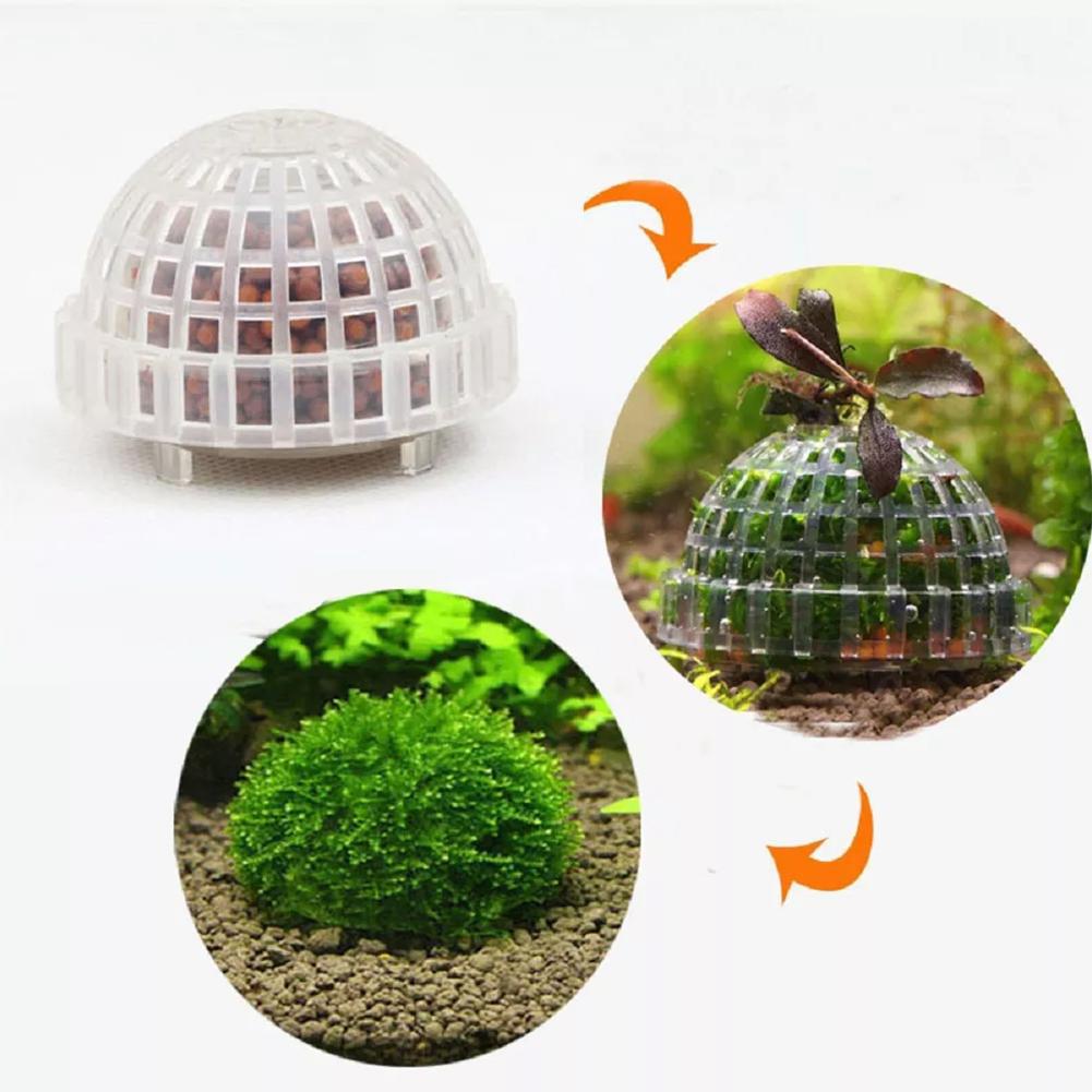 1pc Aquatic Pet Supplies Decor - Aquarium Plant Echinodorus recension och pris