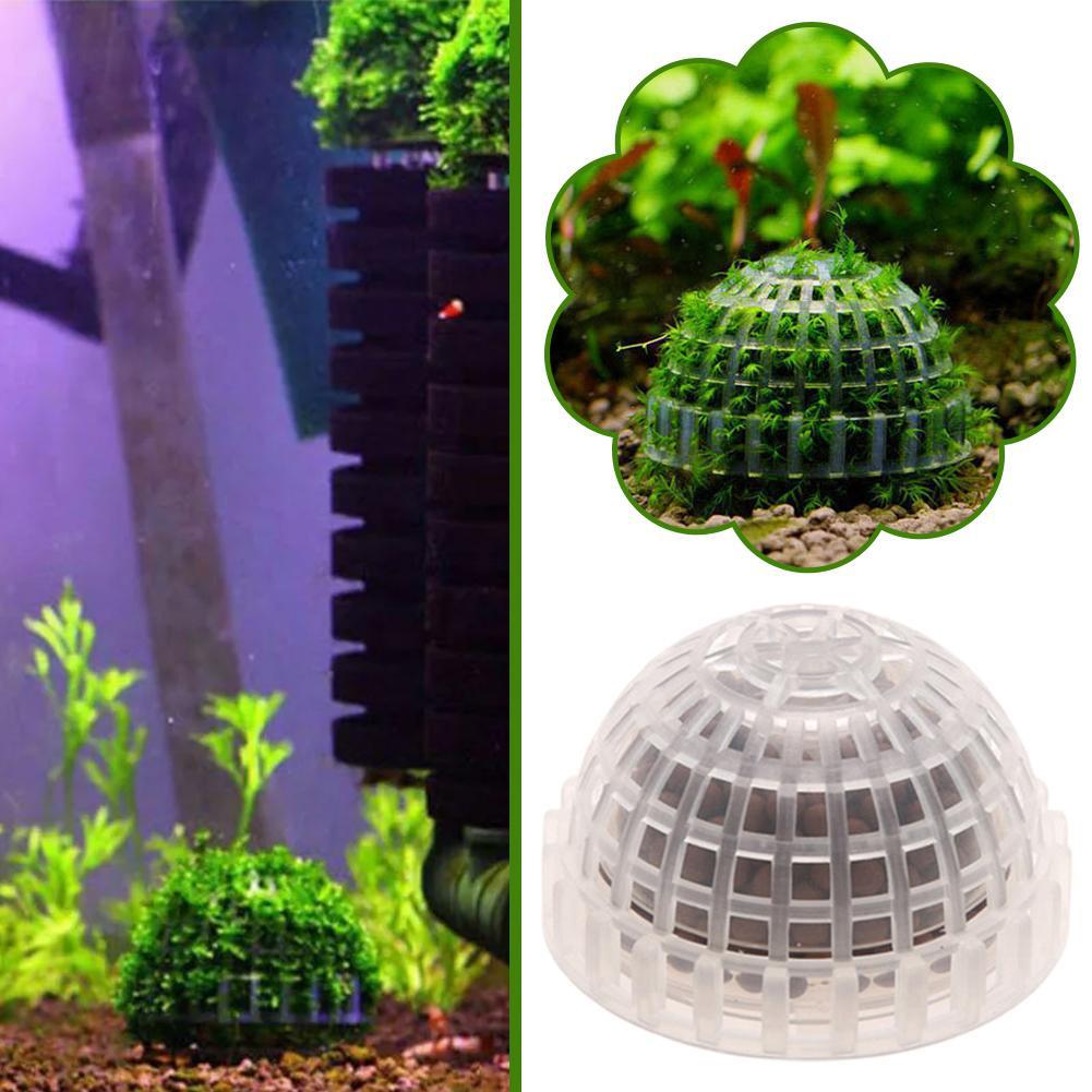 1pc Aquatic Pet Supplies Decor - Aquarium Plant Echinodorus recension och pris