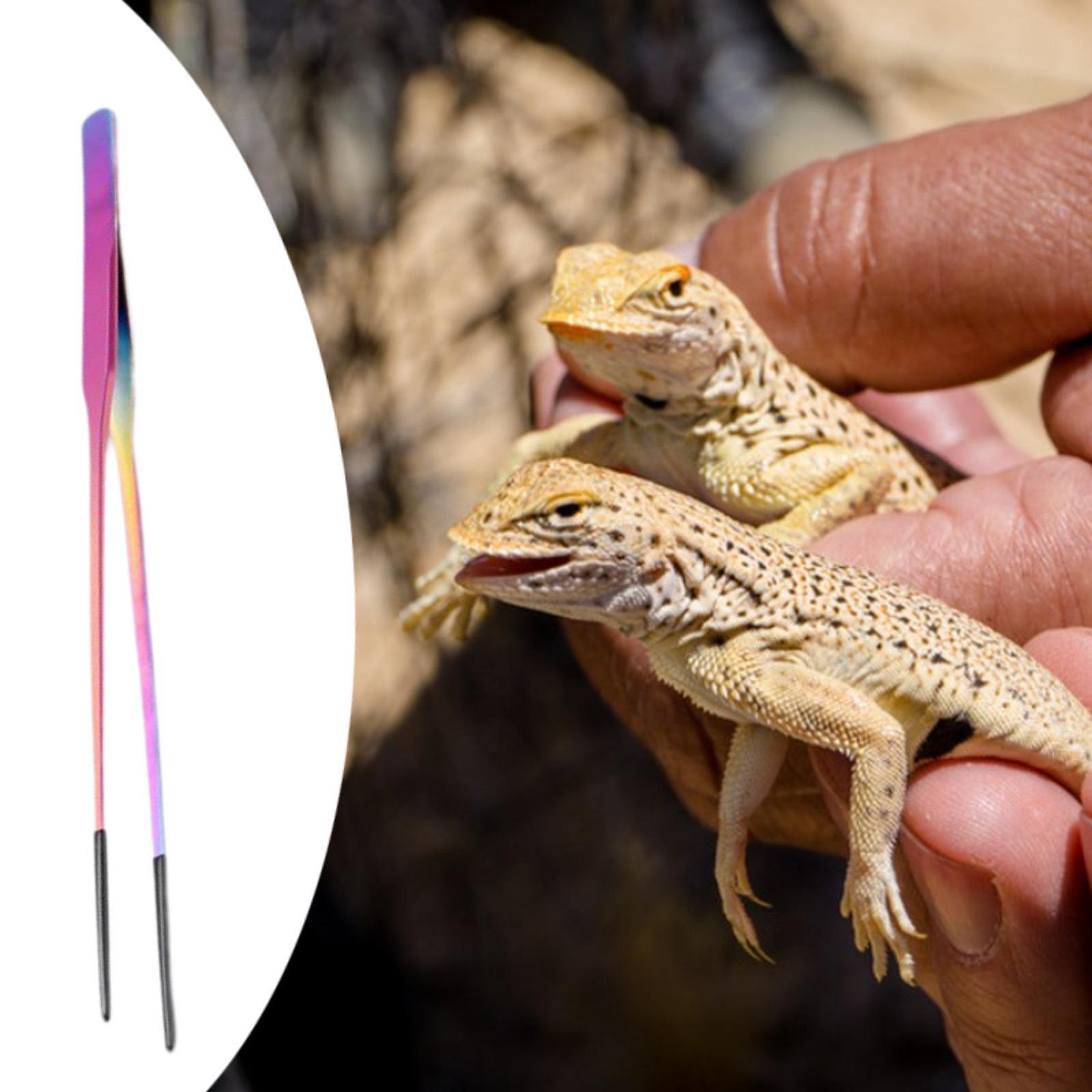 Reptile Feeder Tongs with Sili - Planted Aquarium Tips recension och pris