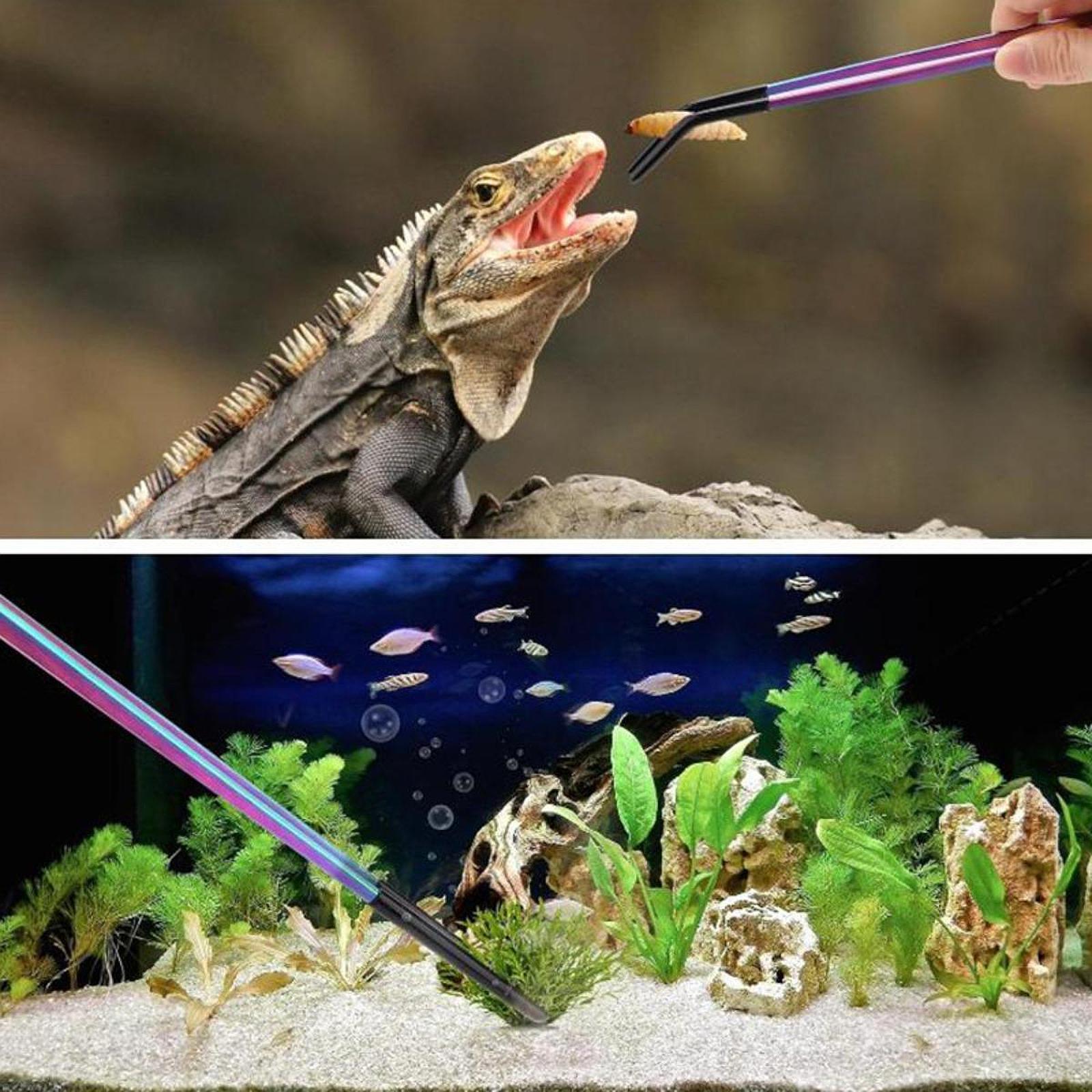 Reptile Feeder Tongs with Sili - Planted Aquarium Tips recension och pris