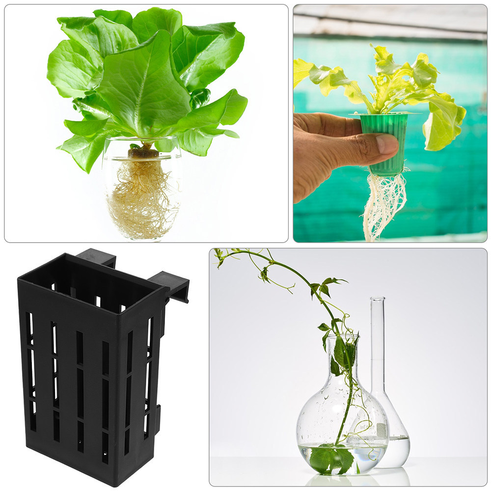 6Pcs Aquatic Plant Holder Plas - Aquarium Plant Roots recension och pris